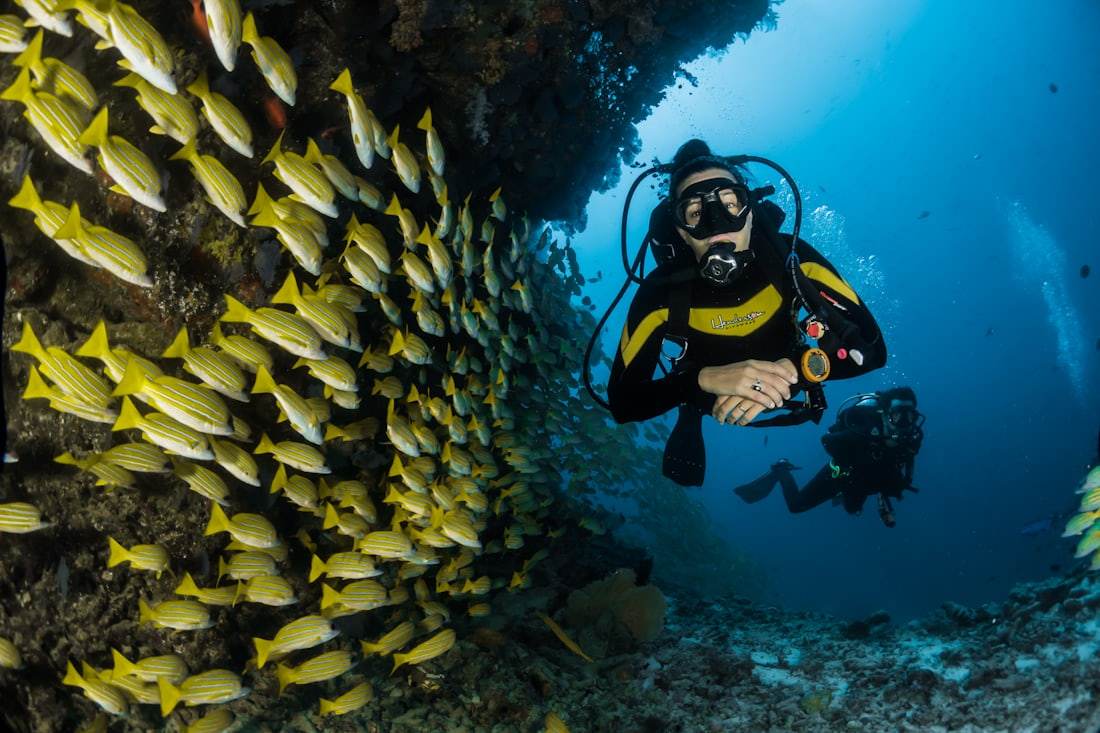 Snorkeling with a school of fish