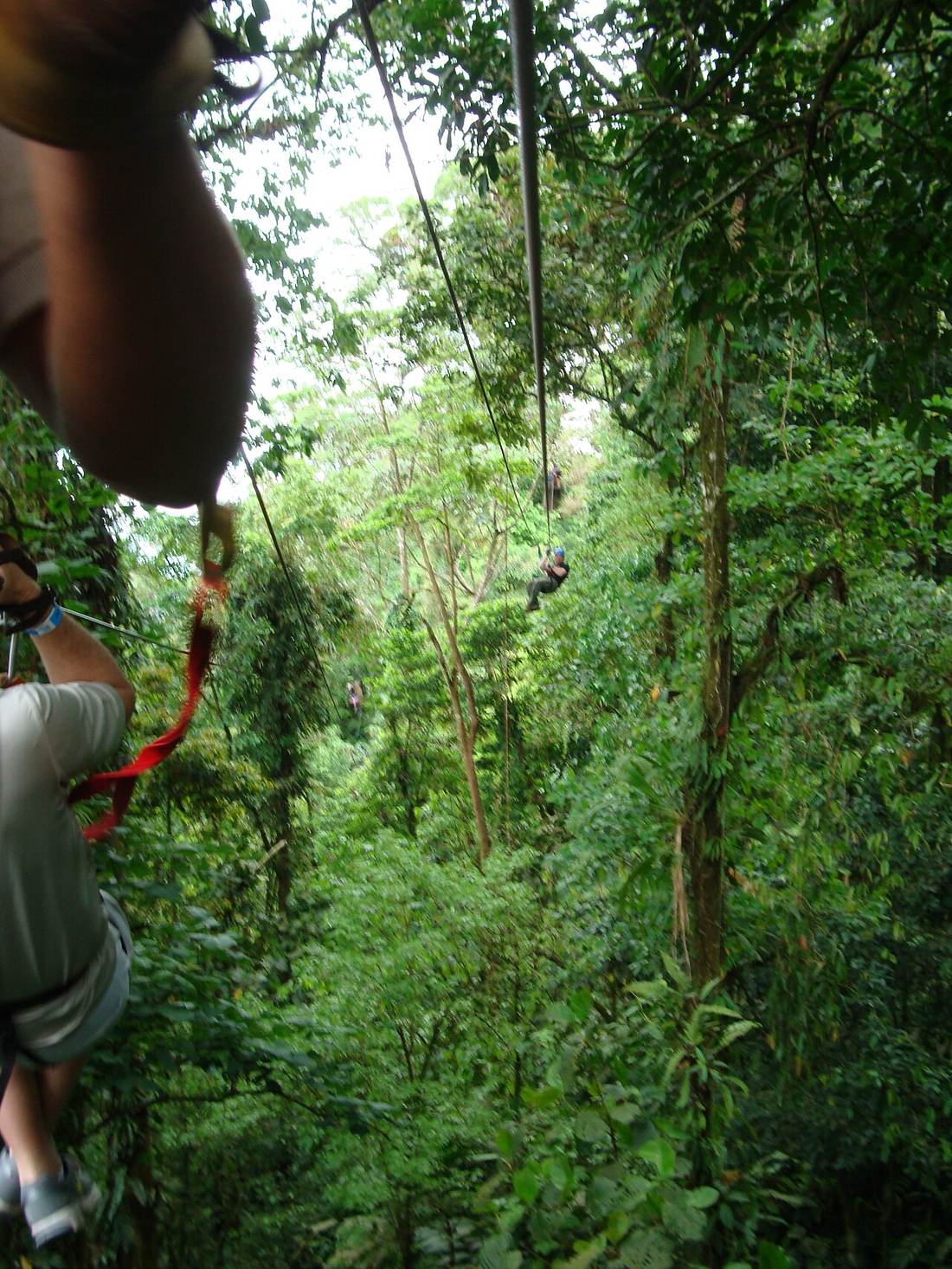 Zipline through jungle canopy